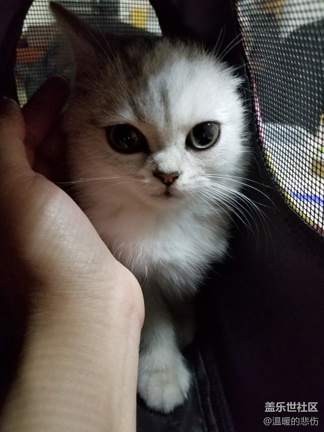 歡迎你光顧，我的小怪物