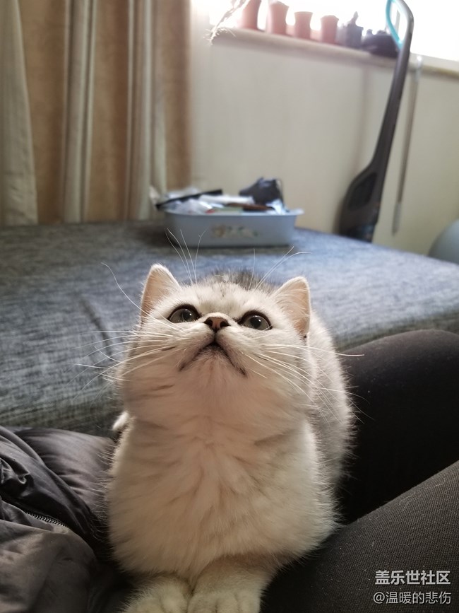 歡迎你光顧，我的小怪物