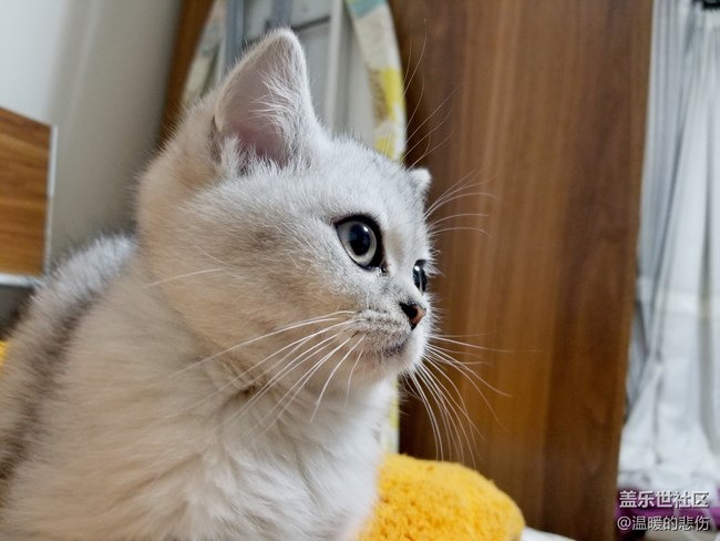 歡迎你光顧，我的小怪物