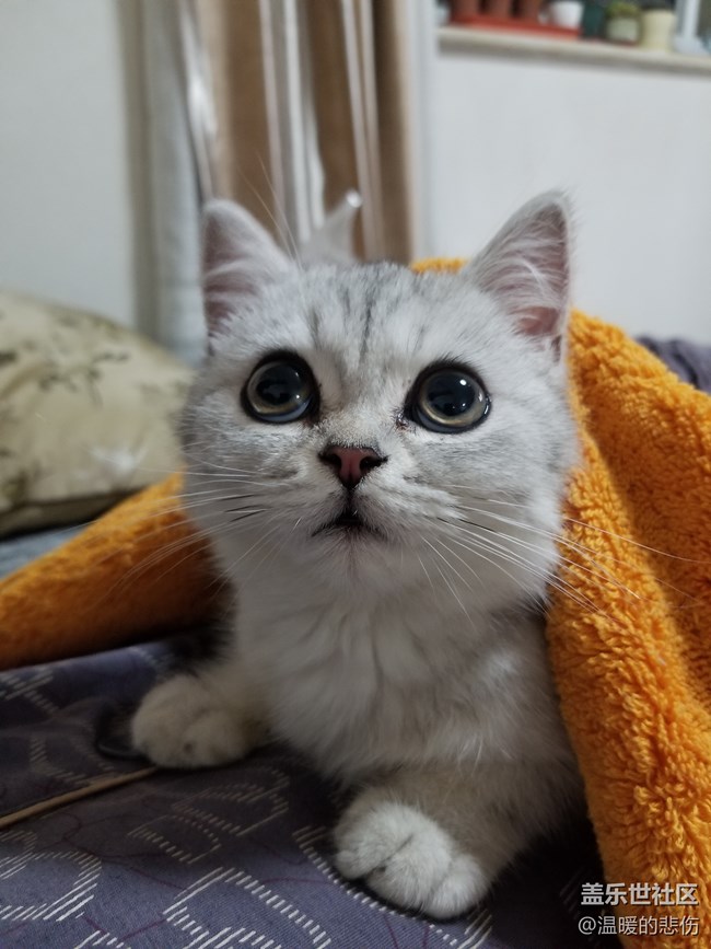 歡迎你光顧，我的小怪物