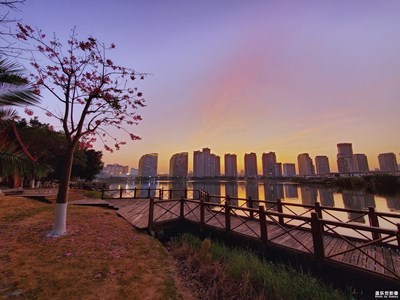 【色彩】+五彩繽紛