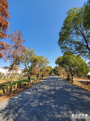 遛彎路上拍的