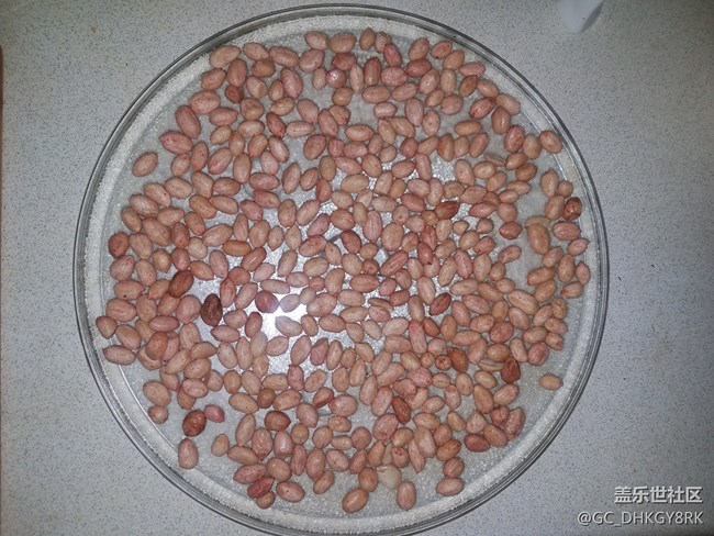 【深夜食堂】+微波爐版鹽焗花生米