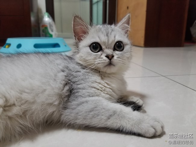 歡迎你光顧，我的小怪物