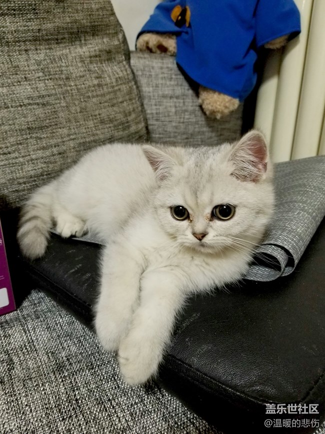 歡迎你光顧，我的小怪物