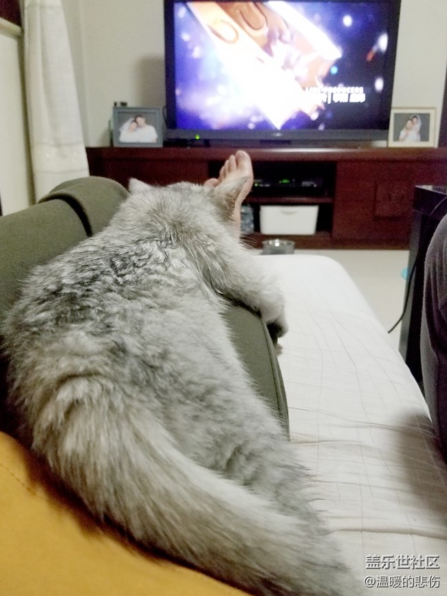 歡迎你光顧，我的小怪物