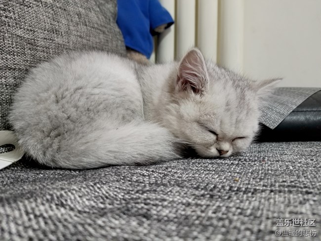 歡迎你光顧，我的小怪物