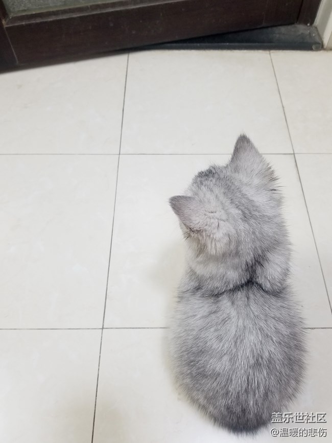 歡迎你光顧，我的小怪物