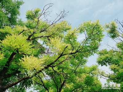 Note9拍的縣城公園