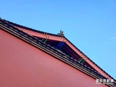 【2019最美瞬間】+隨手拍