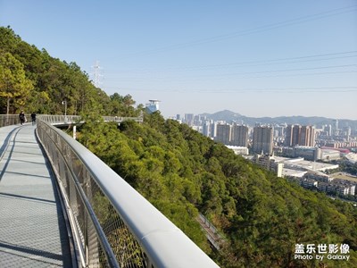 【2019最美瞬間】+廈門空中步道