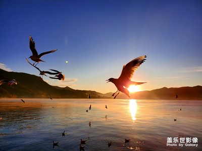 【2019最美瞬間】+麗江之行-完美的天氣＆風(fēng)景＆手機(jī)