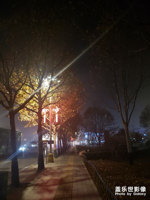 夜景