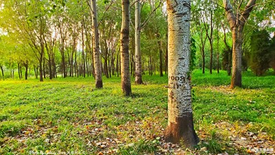 【2019最美瞬間】+轉(zhuǎn)身