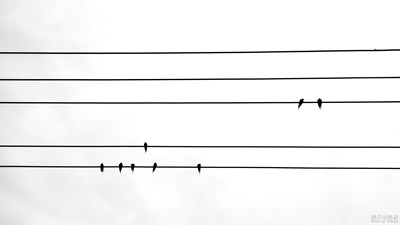 【2019最美瞬間】+日常抓拍