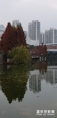 【2019最美瞬間】+秋葉濃濃