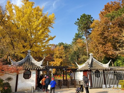 【2019最美瞬間】深秋的天平山