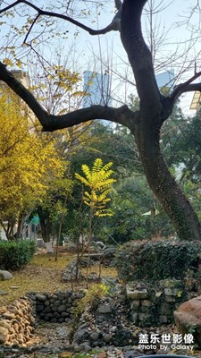 鬧中有靜