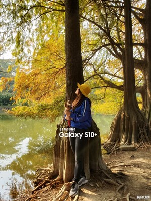 2019末-最美瞬間-秋（2）