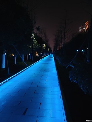 【色彩】+ 夜色