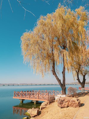 【2019最美瞬間】秋意濃