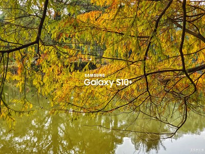 2019末-最美瞬間-秋（1）