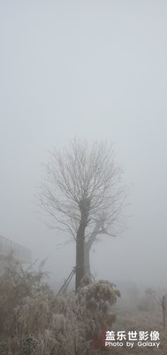我拍的嘻嘻