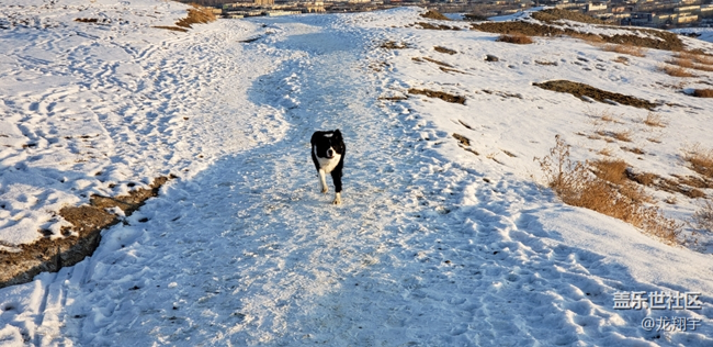 【每周星鮮事】第16期:年末大餐等你來秀