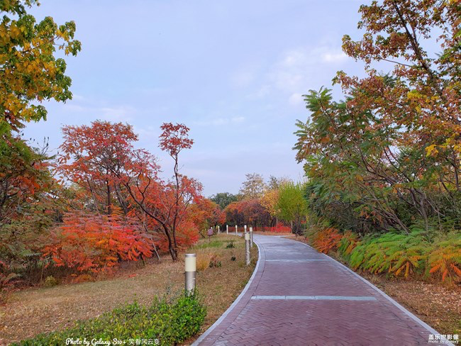 【每周星鮮事】第16期:年末大餐等你來秀