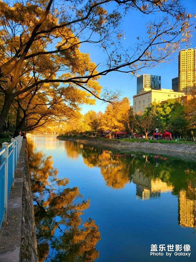 【每周星鮮事】第16期:年末大餐等你來秀