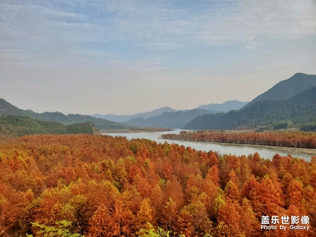 【每周星鮮事】第16期:年末大餐等你來秀