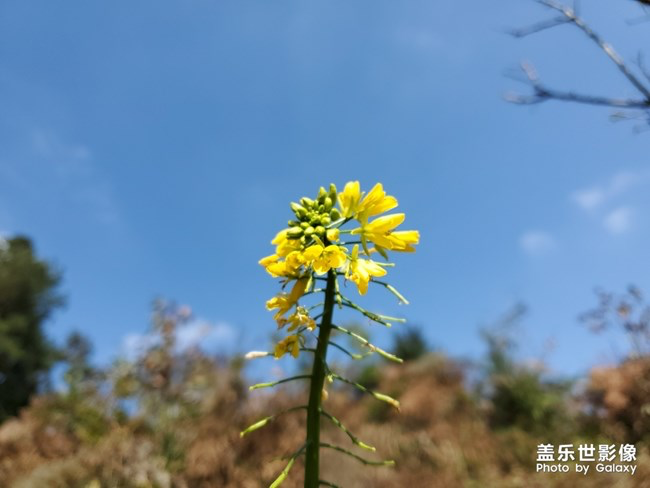 【每周星鮮事】第16期:年末大餐等你來秀