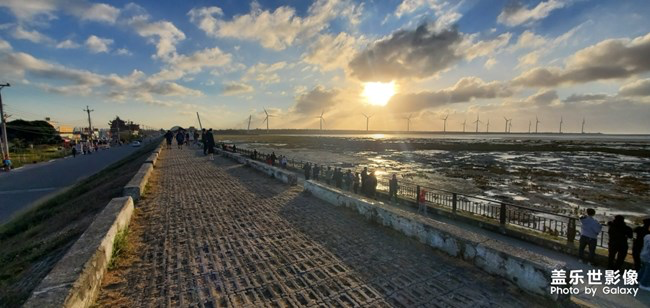 【每周星鮮事】第16期:年末大餐等你來秀