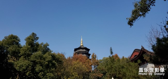 【每周星鮮事】第16期:年末大餐等你來秀