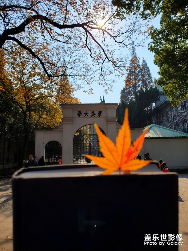 【每周星鮮事】第16期:年末大餐等你來秀