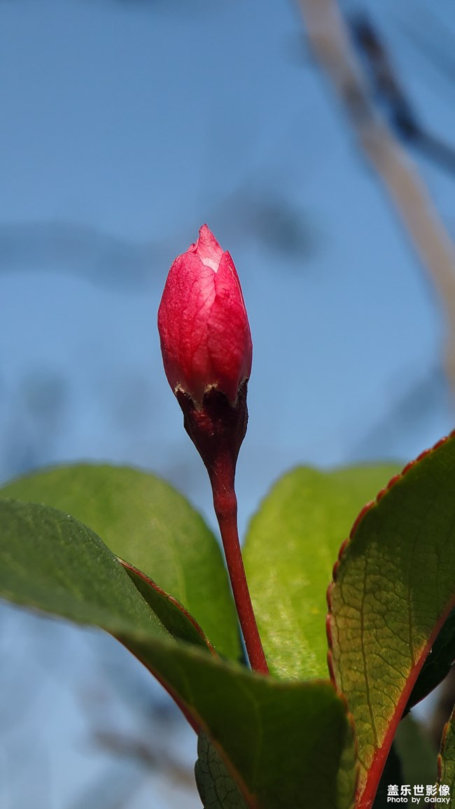 【每周星鮮事】第16期:年末大餐等你來秀