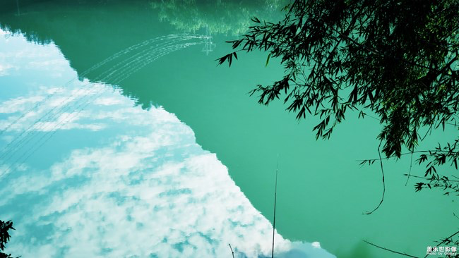 【每周星鮮事】第16期:年末大餐等你來秀