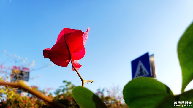 【每周星鮮事】第16期:年末大餐等你來秀