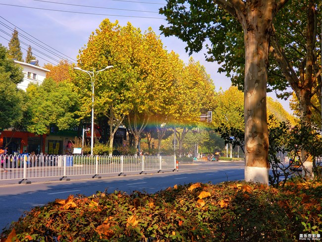 【每周星鮮事】第16期:年末大餐等你來秀