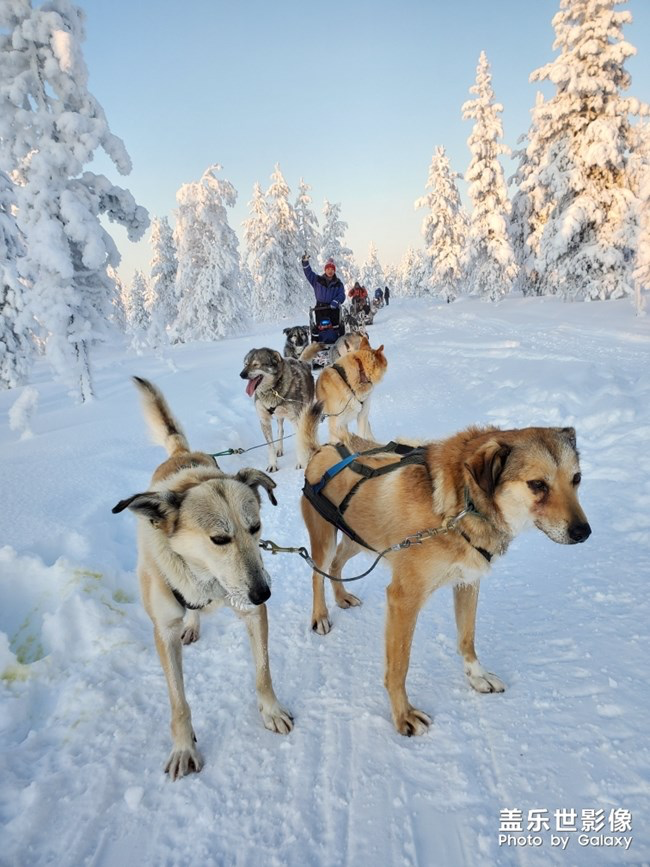 【每周星鮮事】第16期:年末大餐等你來秀