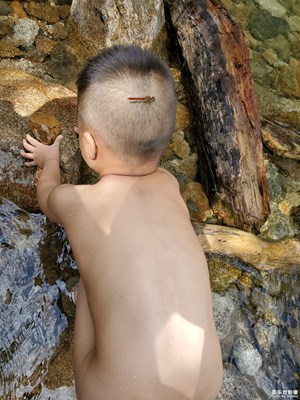 【2019最美瞬間】小兒才露尖尖角，早有蜻蜓立上頭