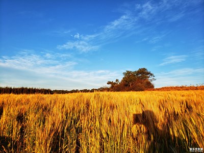 【美麗的云】+多彩的云