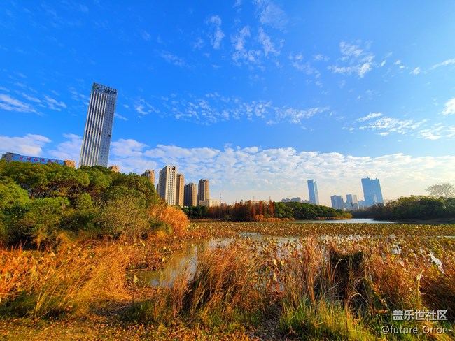 【Galaxy Note10系列星粉體驗(yàn)活動(dòng)】機(jī)皇Note10+ 5G