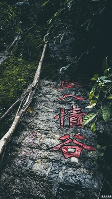 【2019最美瞬間】-迷途