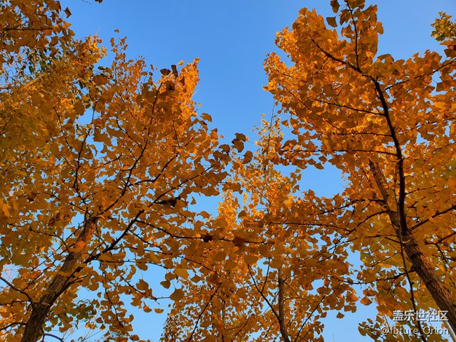 【Galaxy Note10系列星粉體驗(yàn)活動(dòng)】機(jī)皇Note10+ 5G