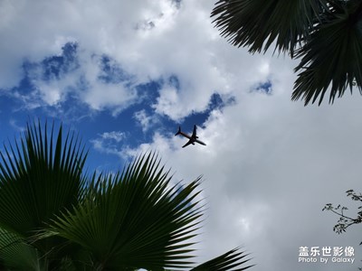 2019最美瞬間