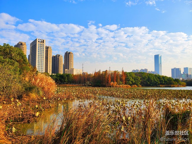 【Galaxy Note10系列星粉體驗(yàn)活動(dòng)】機(jī)皇Note10+ 5G