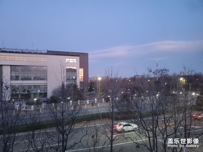 隨手一拍