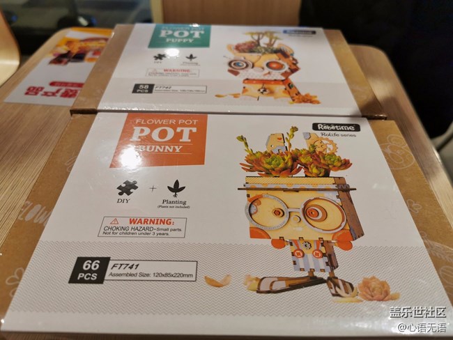 歲末，我們一起來種花