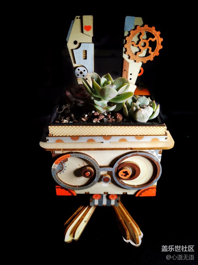 歲末，我們一起來種花